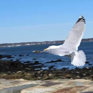 Meet your Posher, Tina